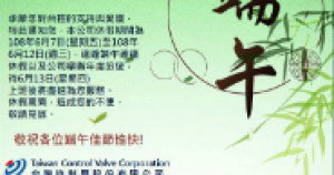 greeting for dragon boat festival from Taiwan control valve